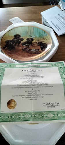 Franklin mint team - franklin, practice