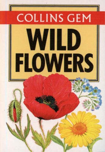 Collins gem wild - -, flowers