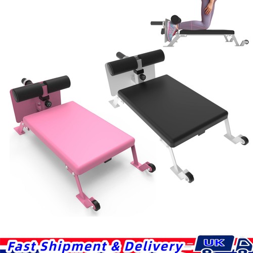 Nordic curl machine - nordic,