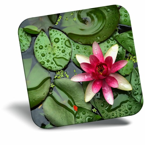 Awesome fridge magnet pink - awesome,