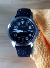 Citizen Men's Eco Drive WR200