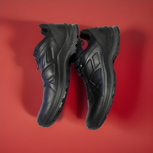 Haix black eagle - haix,