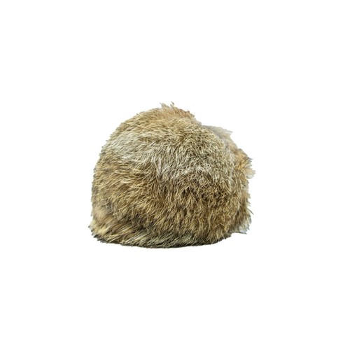 Gun dog rabbit - fur, dummy