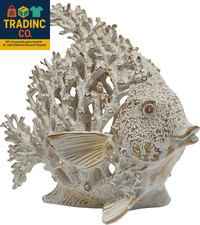 Beach Coastal Decor Coral Reef