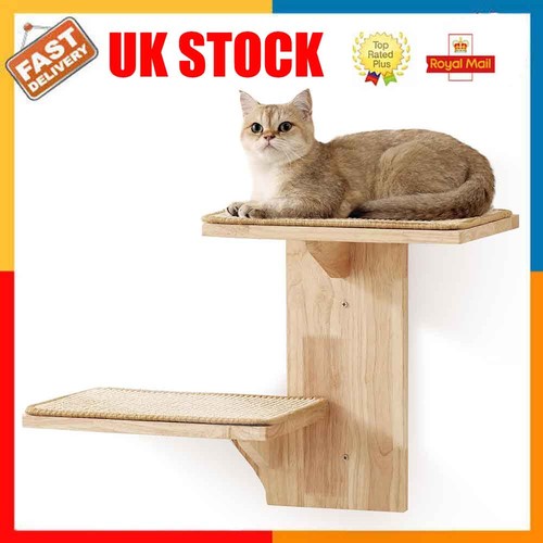 Cat wall shelves - wall, shelves,