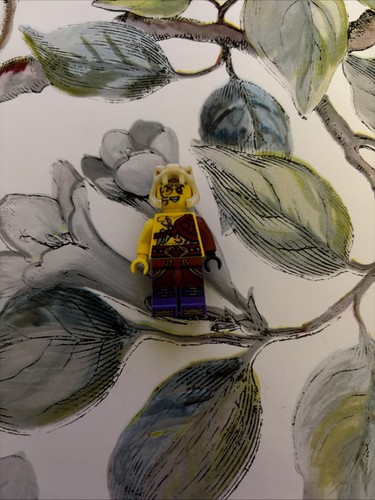 Lego ninjago custom - lego,