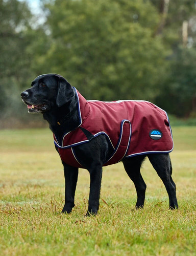 Weatherbeeta comfitec premier - weatherbeeta,