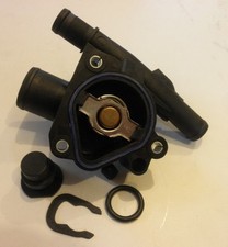 Thermostat & Housing For