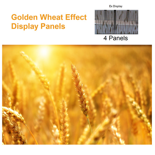 Golden wheat effect display - wheat,