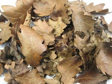 8L Organic Dried OAK Leaves
