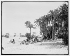 Caravan at el-Wad preparing to