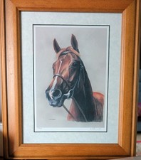 Lammtarra Racehorse Framed
