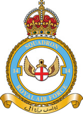 No. 14 Squadron RAF badge