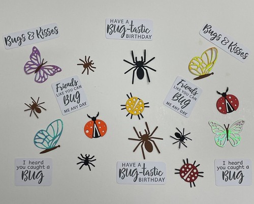 Insects bugs butterflies - insects,
