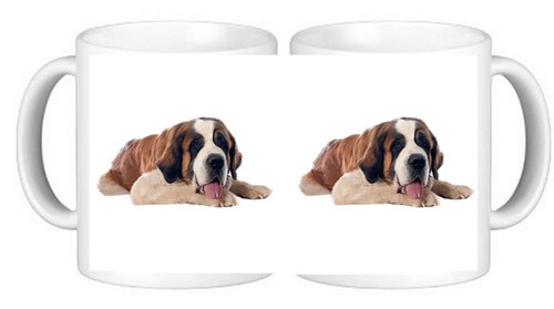 Bernard dog pet - bernard,