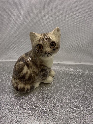 Winstanley tabby cat size - winstanley,