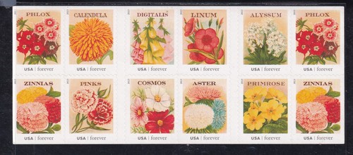 Vintage seed packets booklet - vintage,