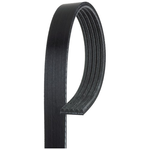 Rib multi drive belt - 5,
