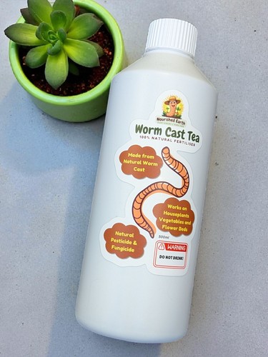 Natural worm tea plant - natural,