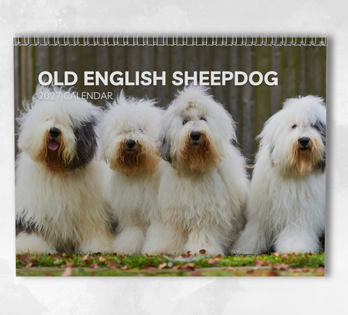Old english sheepdog calendar - old,