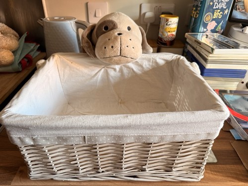 Dog teddie style - dog,