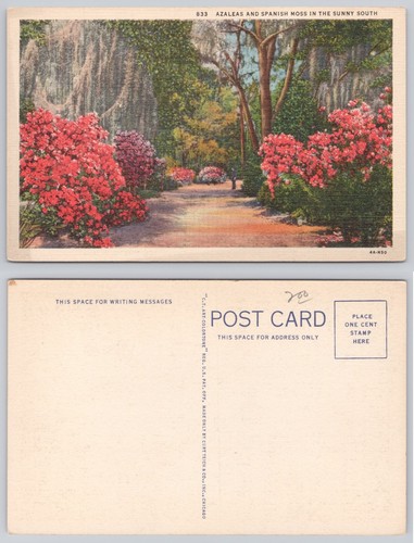Vintage azaleas spanish moss - spanish,