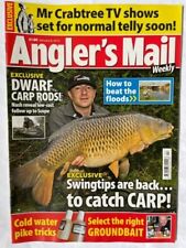 ANGLERS MAIL - 8 JAN 2013 - SWINGTIPS ARE BACK TO CATCH CARP - DWARF CARP RODS