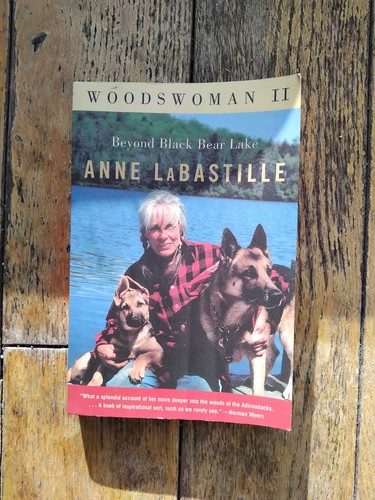 Woodswoman beyond black - woodswoman,