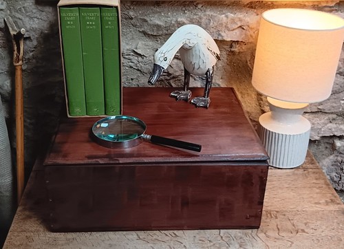 Antique wooden storage box - antique,