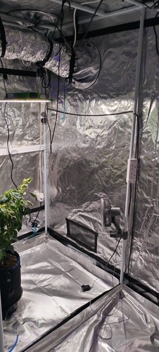Bloom boxx grow tent - bloom,