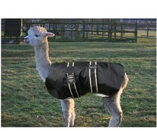 Waterproof Coat for Alpaca or