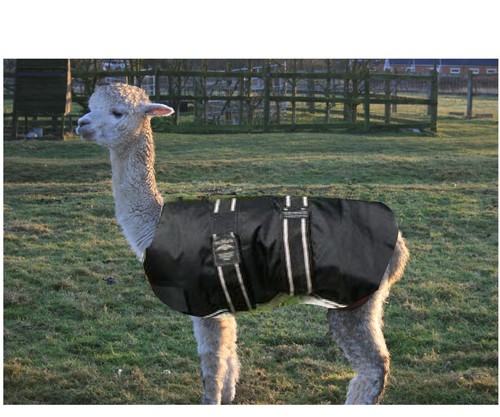 Waterproof coat for alpaca - waterproof,