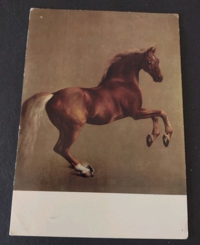 Horse art postcard - postcard,