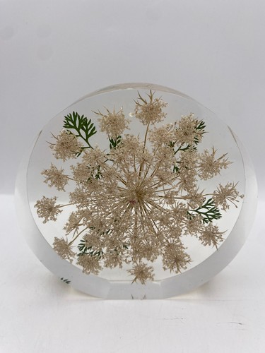 Rolfe signed lucite vintage - w.,