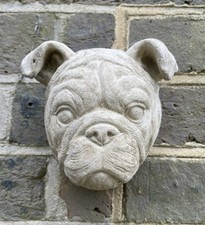 Bulldog Head/Mask Wall Plaque