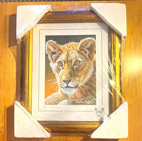 Stephen gayford bright - gayford, eyes