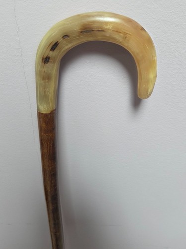 Shepherds crook rams - shepherds, horn