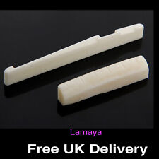 Guitar Nut and Saddle Bridge