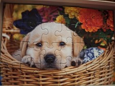 Ravensburger Children's Puzzle 2x24 Tabby kitten and cute puppy kids family game