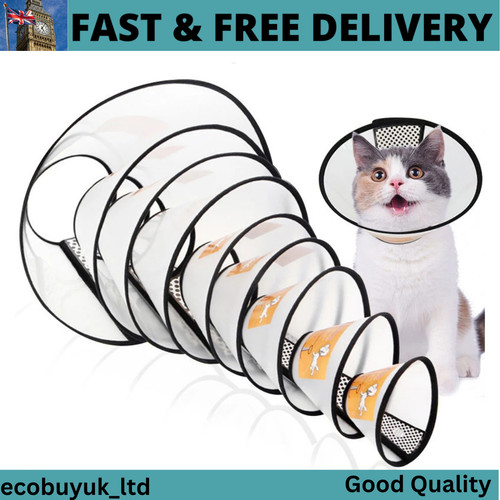 Elizabethan pet protective - elizabethan,
