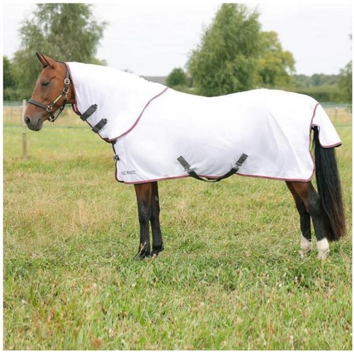 Hyconic fly rug with - fly,