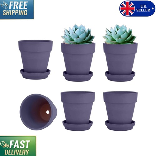 Stylish purple terracotta pots - stylish,