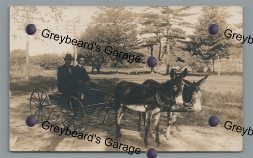 Rppc donkey pulled carriage - rppc,