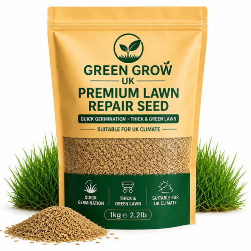 Fast growing rapid lawn grass - growing,