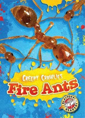 Fire ants kari schuetz - fire, ants,