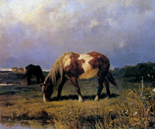 Horse farm pasture - farm, cattle