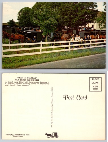 Old order mennonites horse - order,