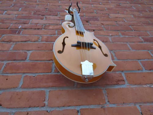 Rover mandolin w - rover,