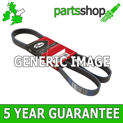 Gates multi rib auxiliary - gates,