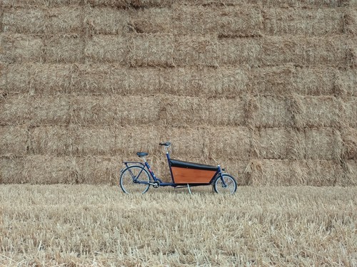 Bakfiets classic long cargo - bakfiets,